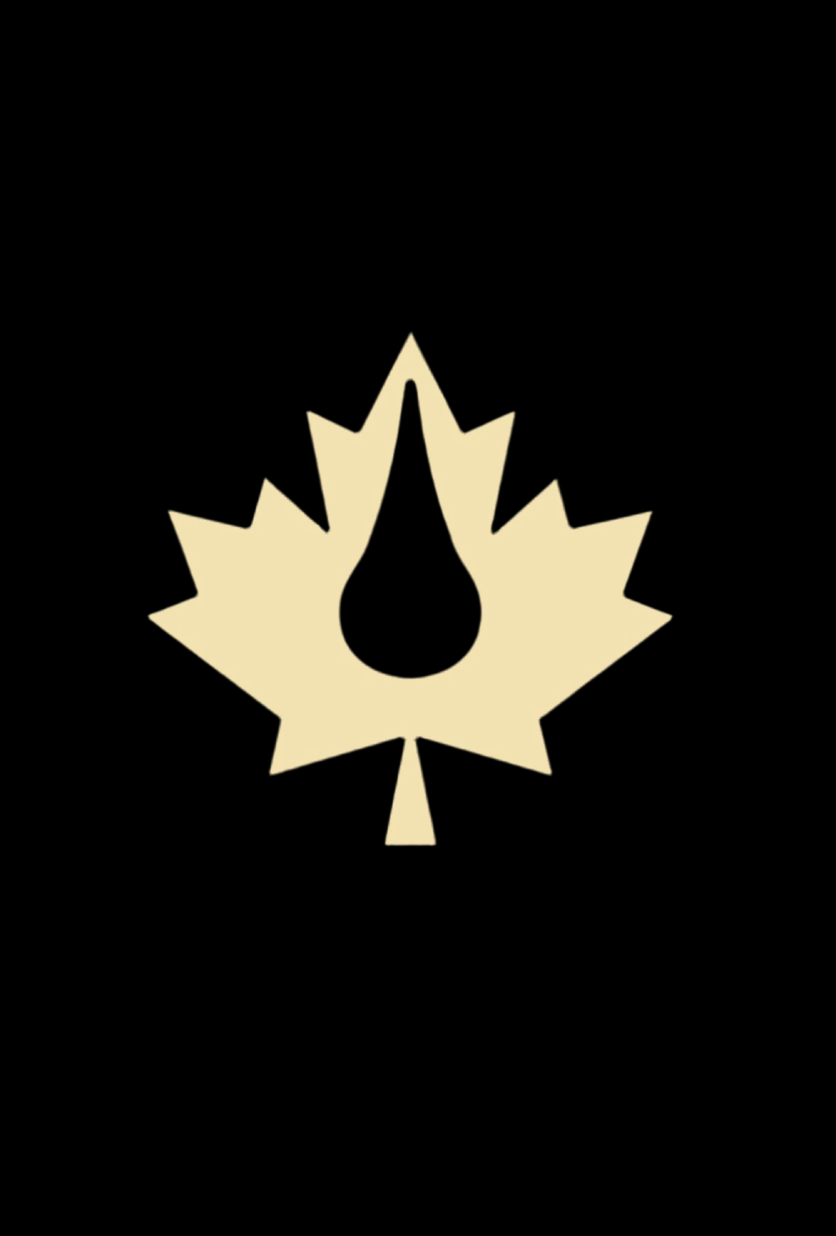 Grateful Dead Zip-up Hoodie